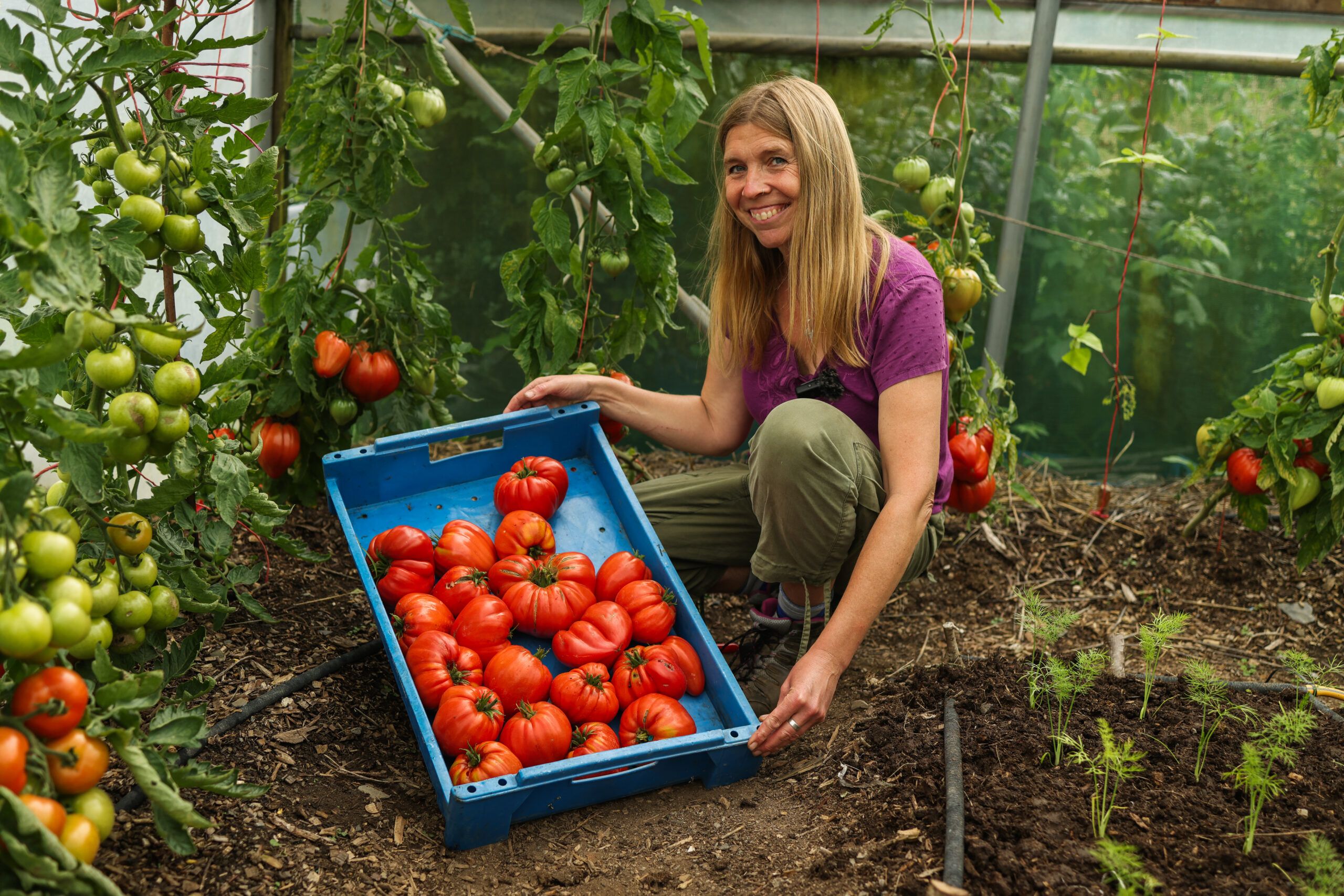 Vegetable Fermentation Workshop