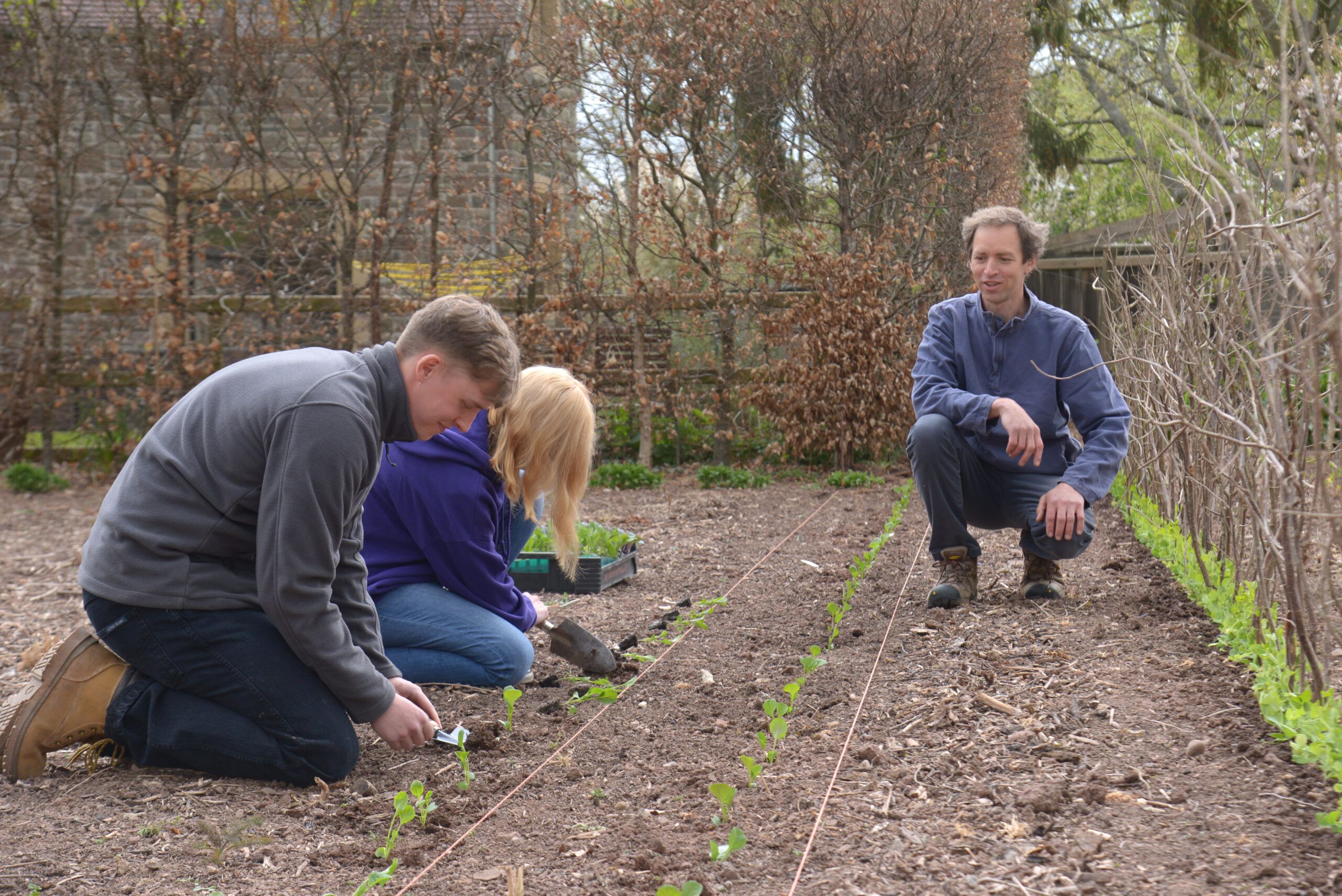 The Perks of Perennial Crops – Public Lecture