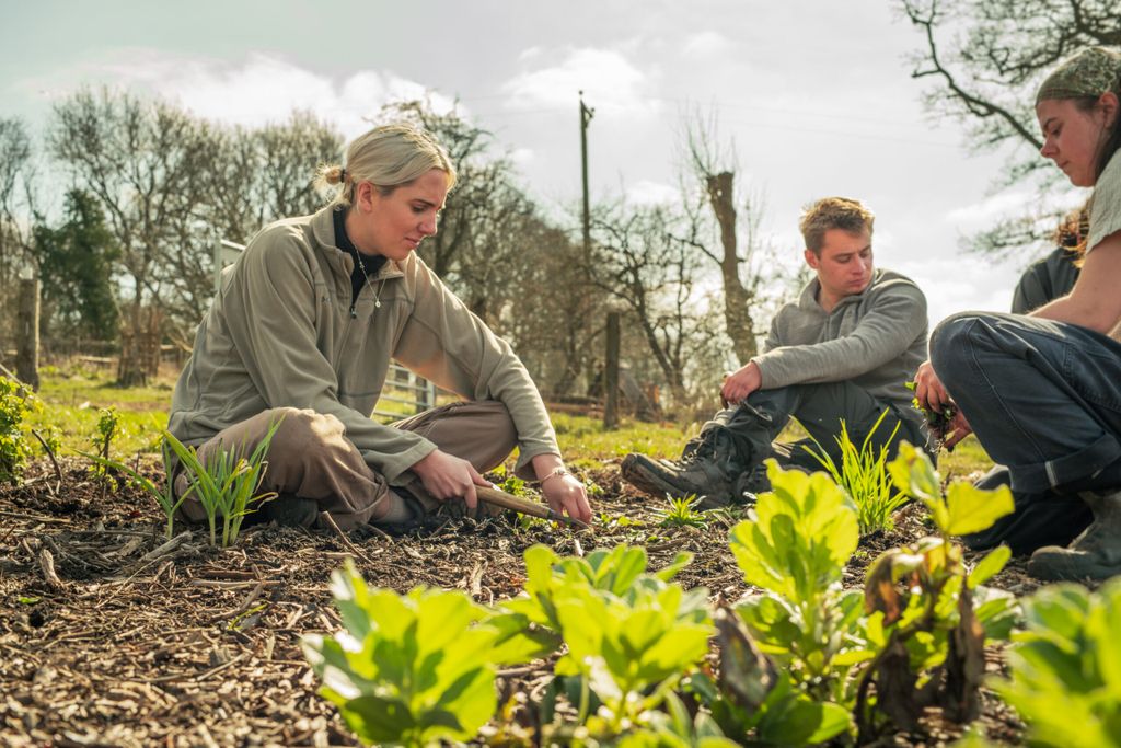 Regenerative Farming & Agroecology Traineeship <br>Level 2 Diploma