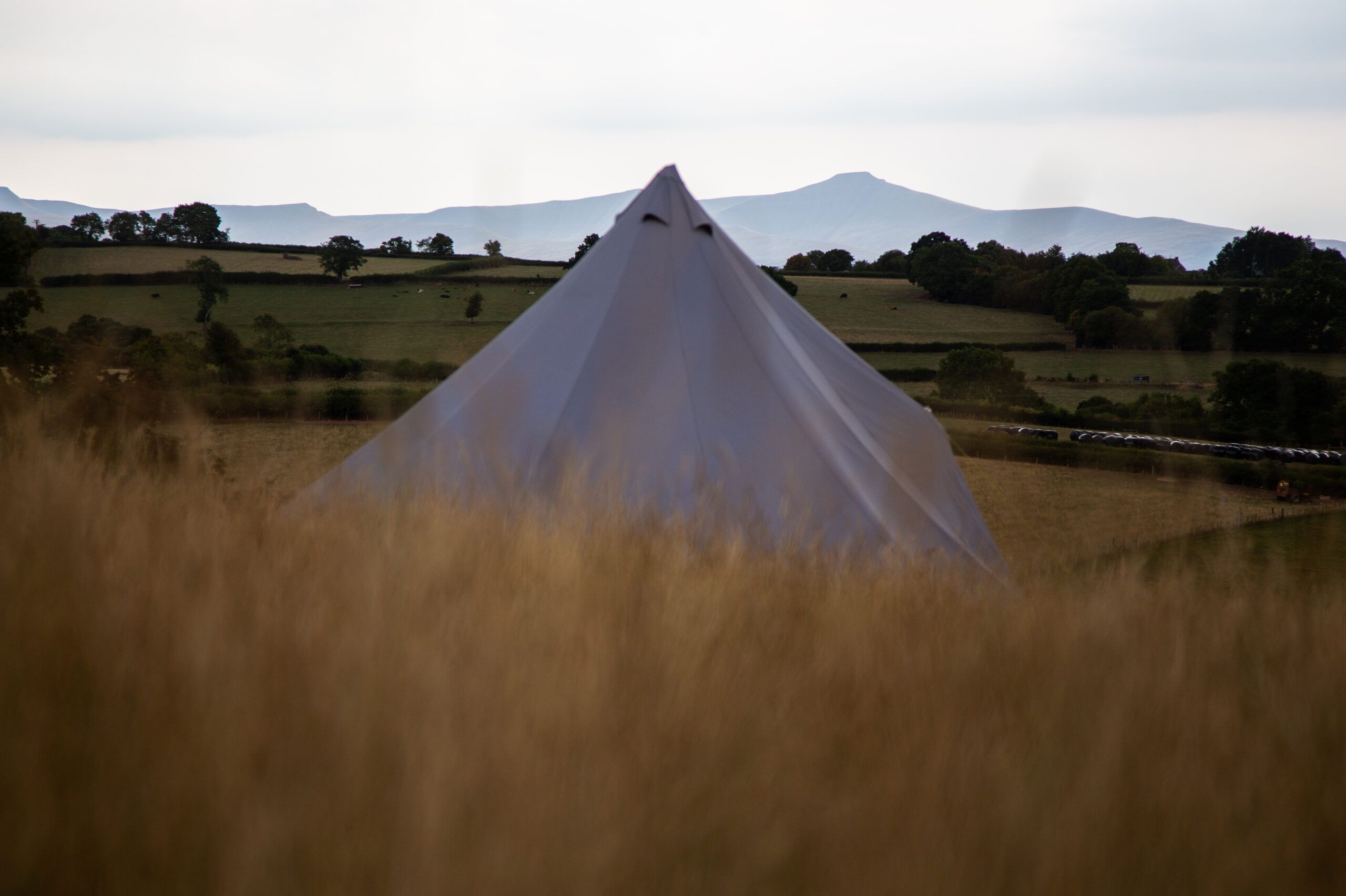 Talgarth Monthly Campus Tours – June