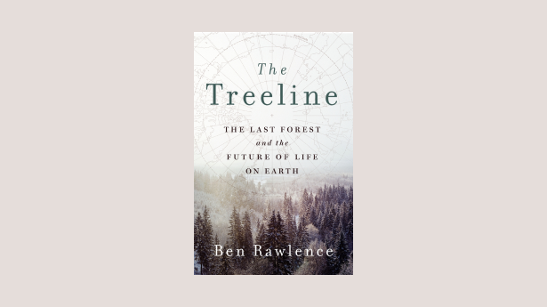 The Treeline – Ben Rawlence