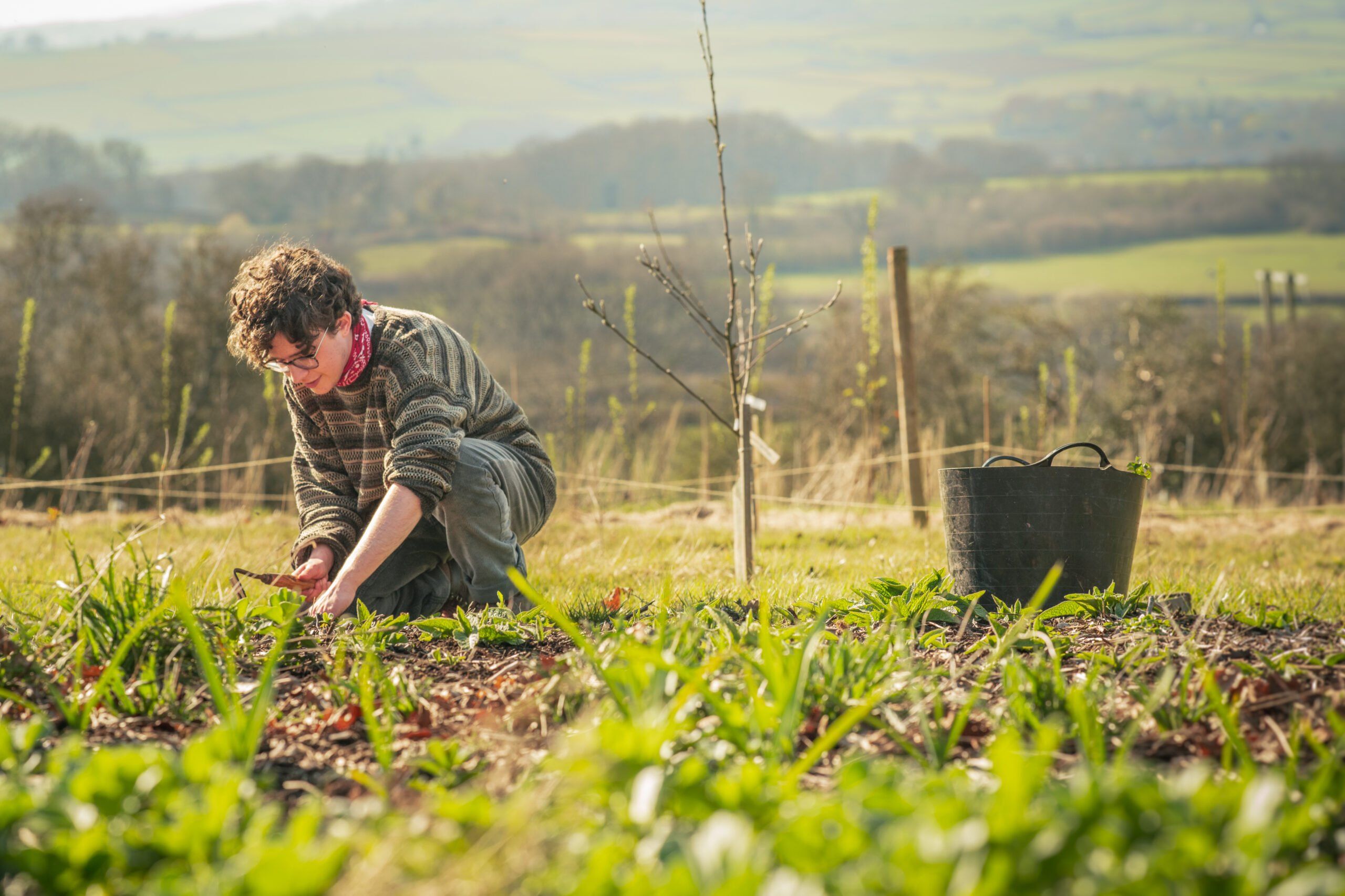 Intro to Regenerative Horticulture Taster Day