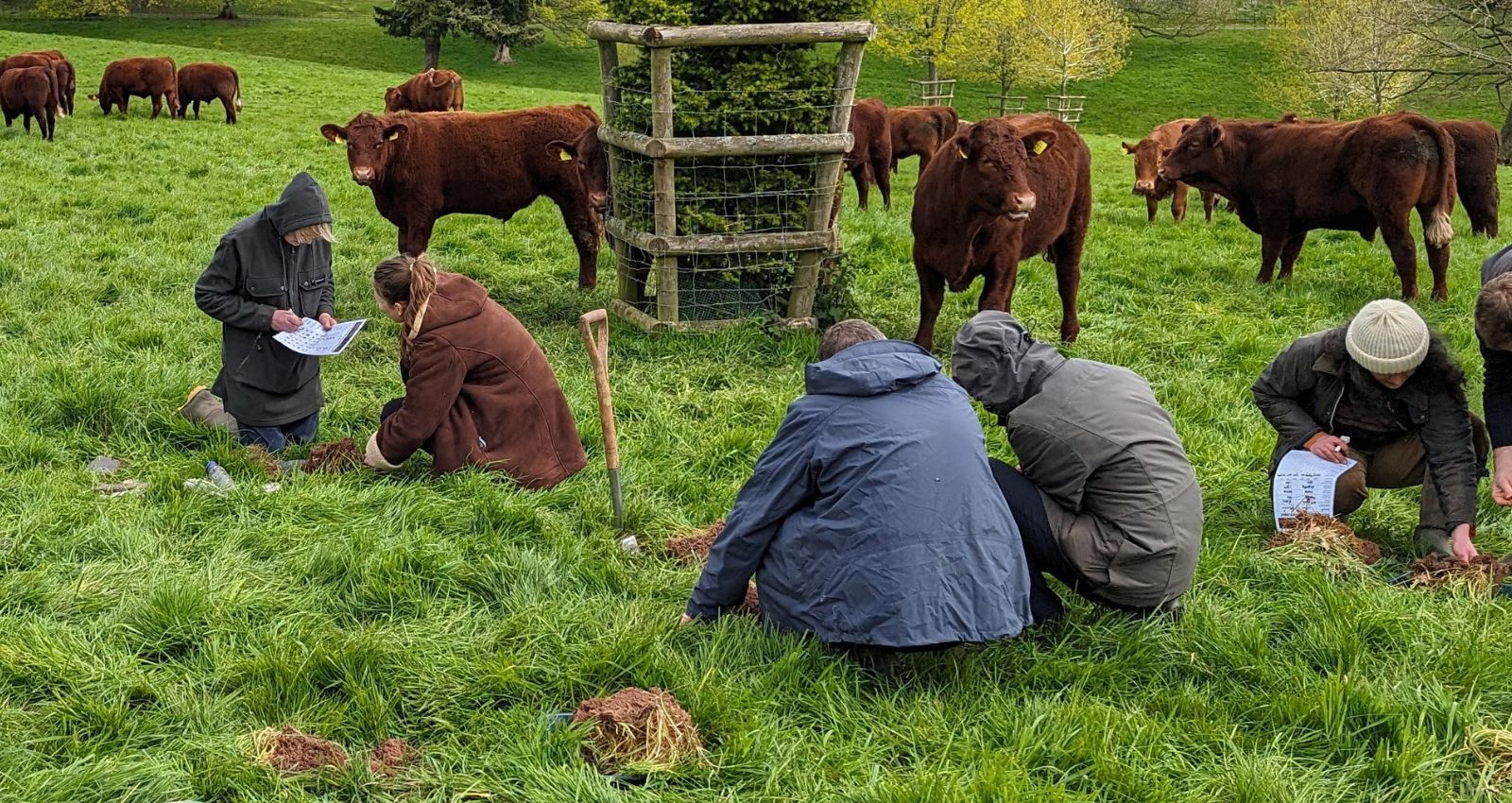 Soil Health for Farms