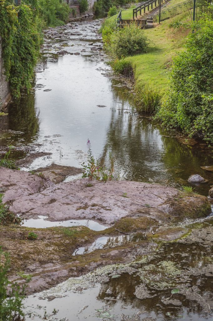 A BMC Pedagogy: The confluence of two rivers  