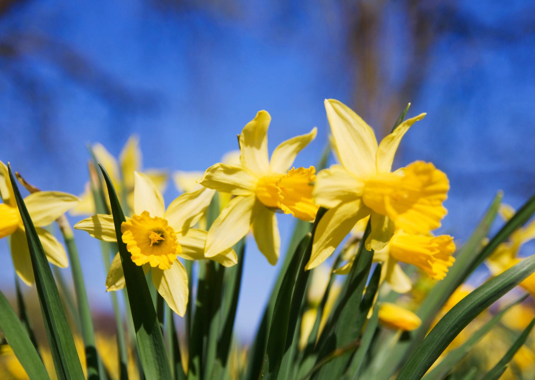 Treherbert Open Day – 22nd March