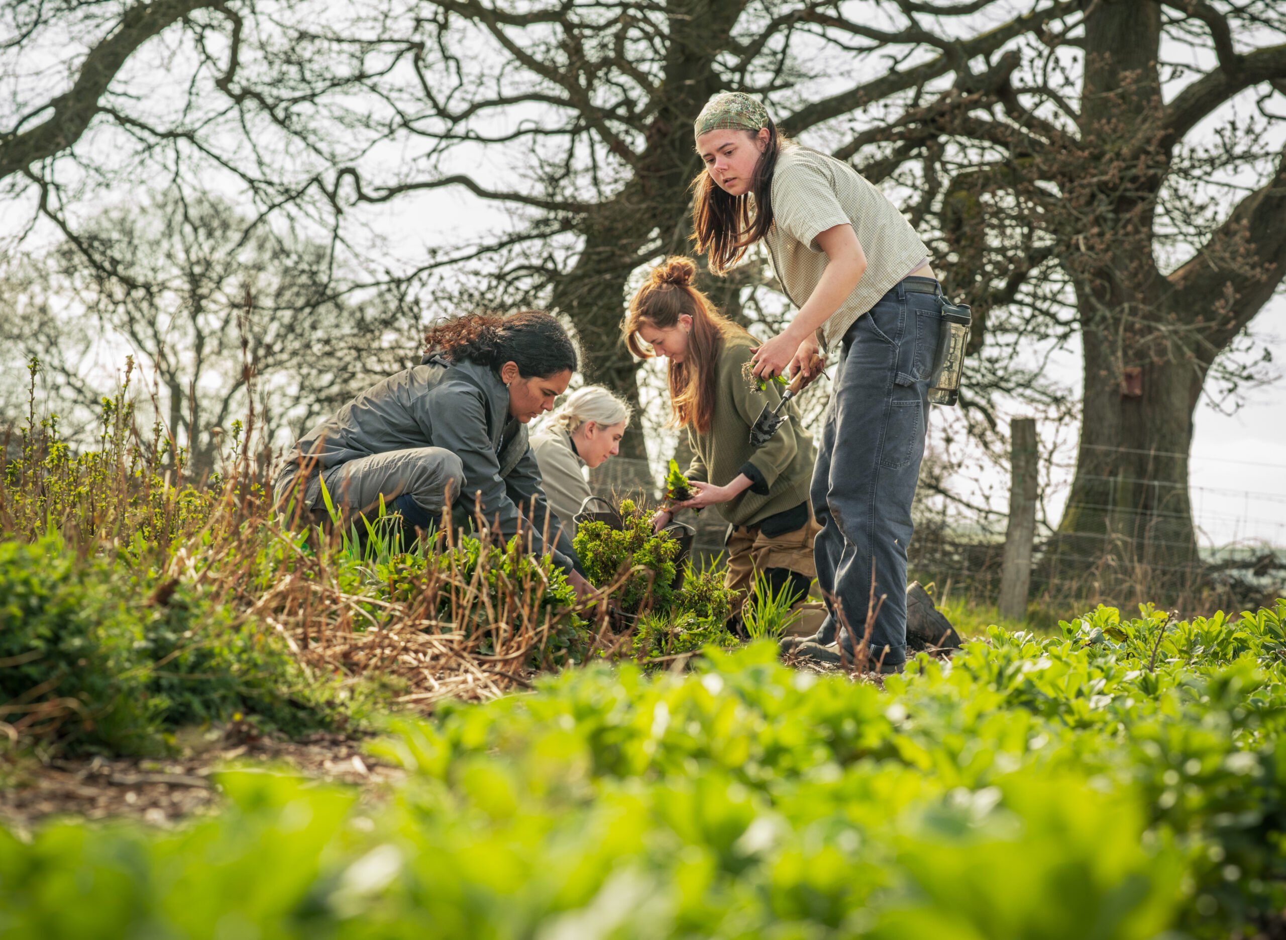 Discovery Day – 21st March