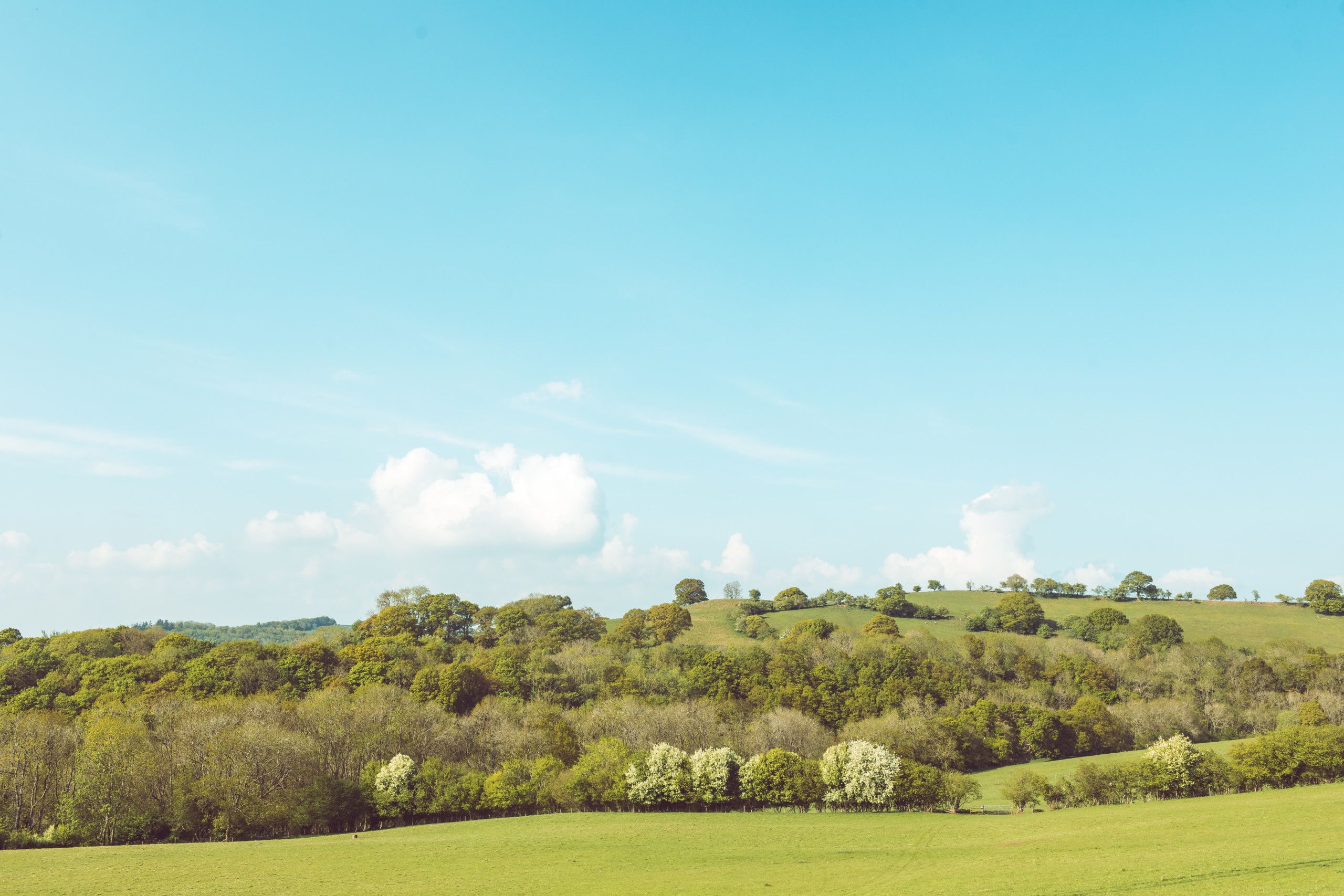 Welsh Farming – All Change?