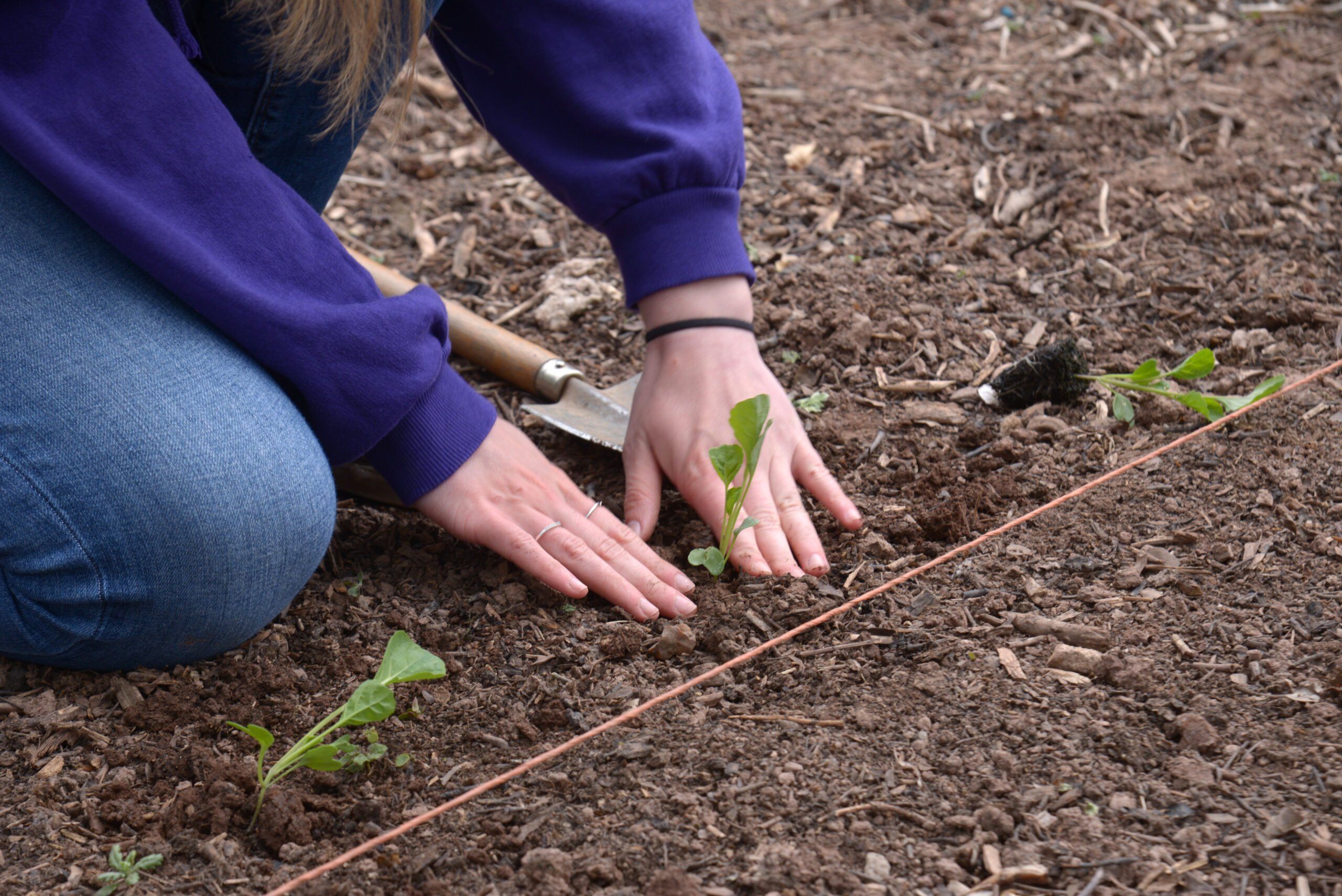 Regenerative Horticulture Level 2 Certificate (PART-TIME)