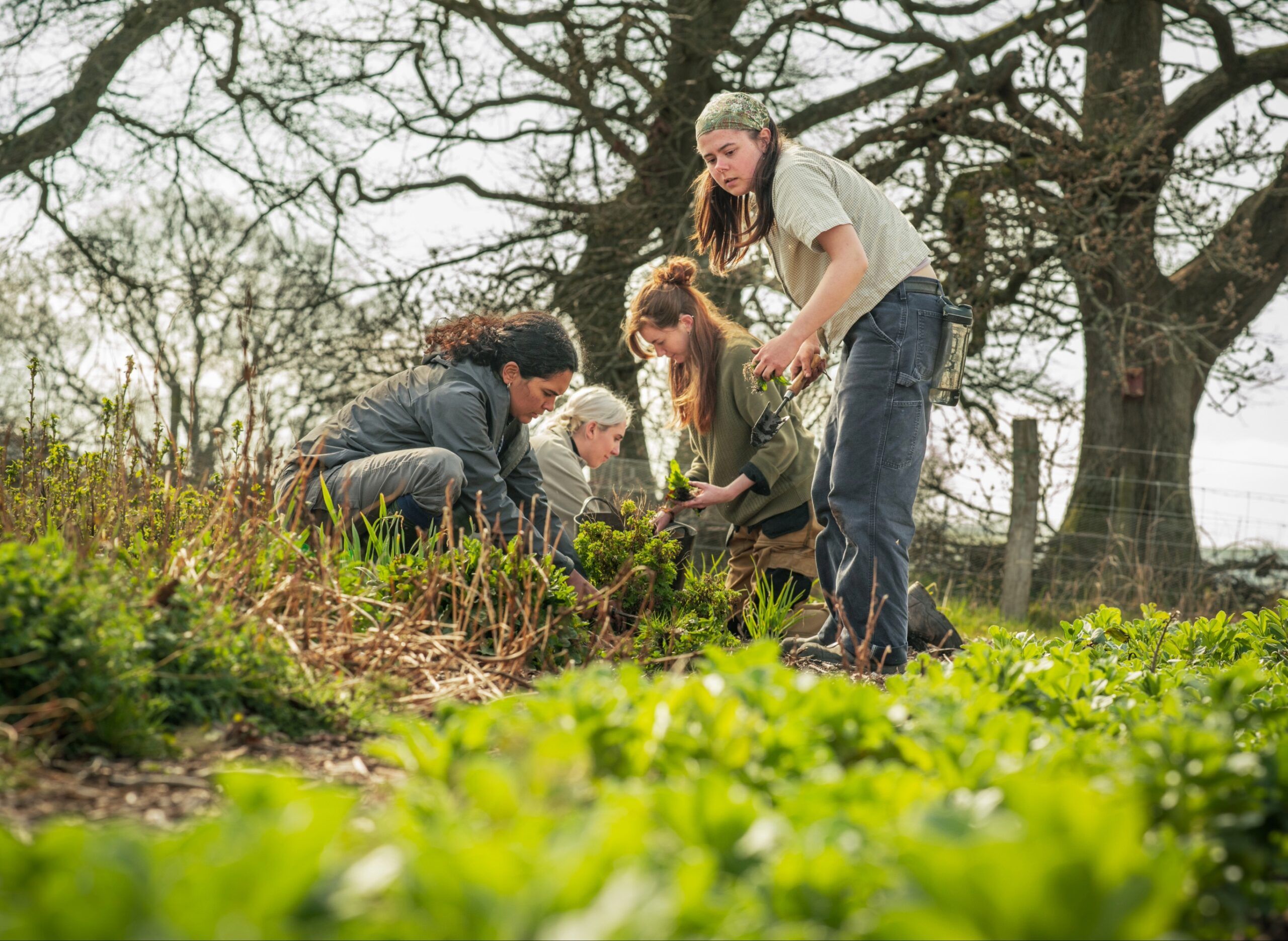 Regenerative Farming & Agroecology Traineeship <br>Level 2 Diploma