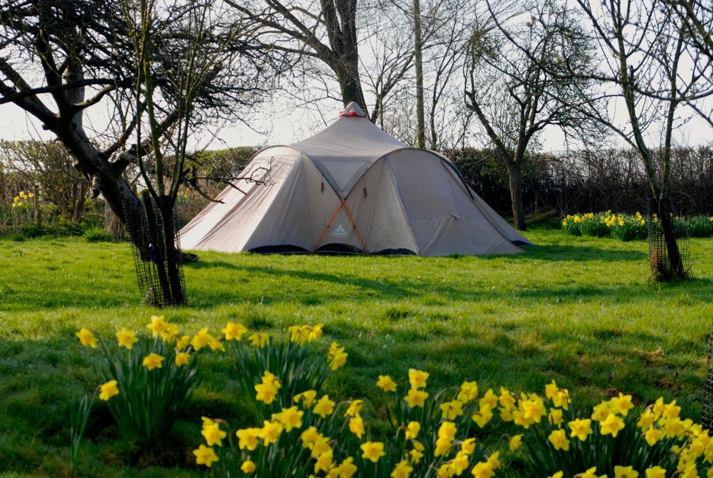 Lower Porthamel – Camping Pitch