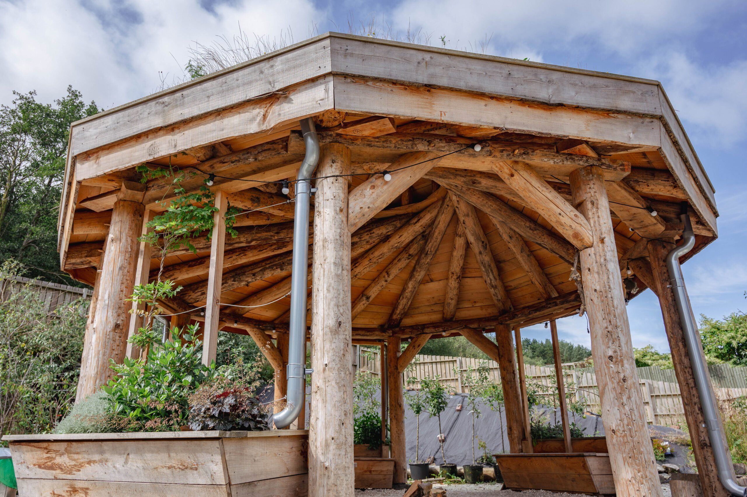 Treherbert Open Day – 4th July