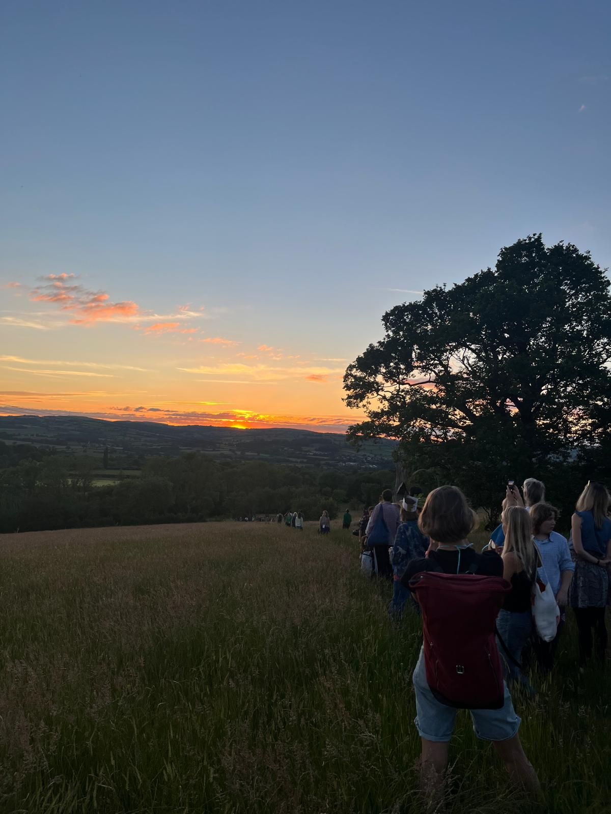 Guided Walk: Bats and Evening Sounds
