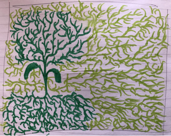 Image created by Adam, Level 4 student at BMC, when asked to depict his learning journey so far in the form of a garden. 