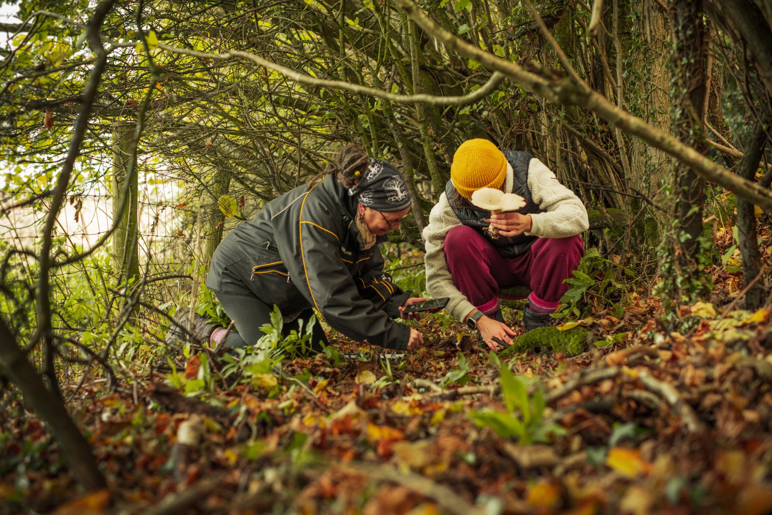 Nature Restoration*  <br>  Level 2 Diploma