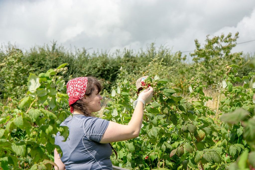 Regenerative Farming & Agroecology Traineeship <br>NVQ Level 3 Diploma