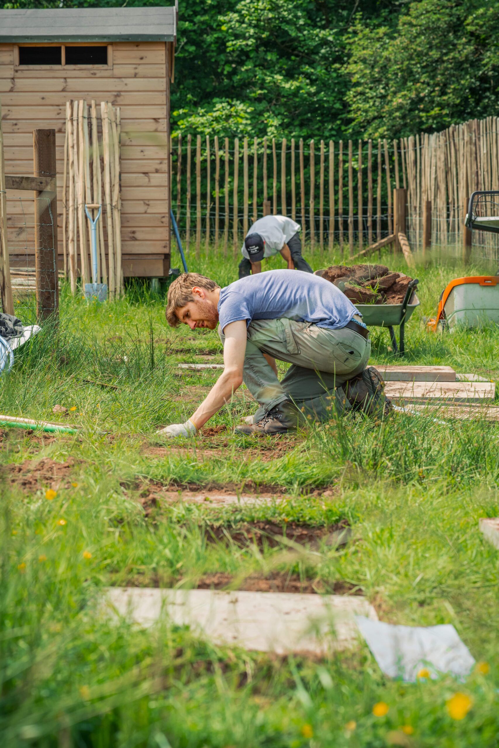 Introduction to Forestry, Arboriculture and the Land-based Sector