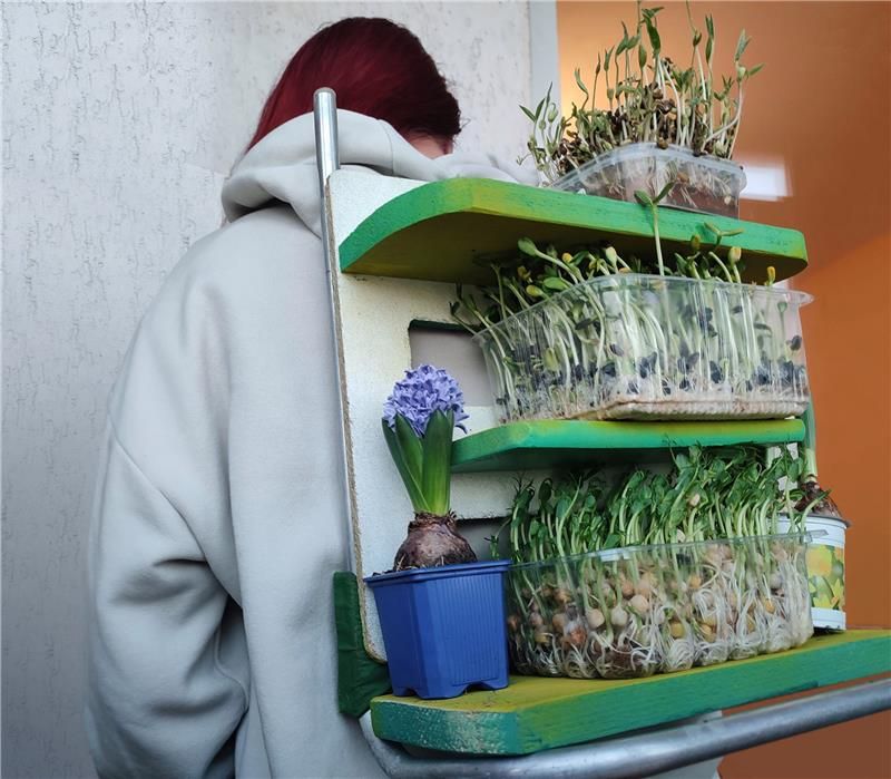 Climate Adaptation for Creatives