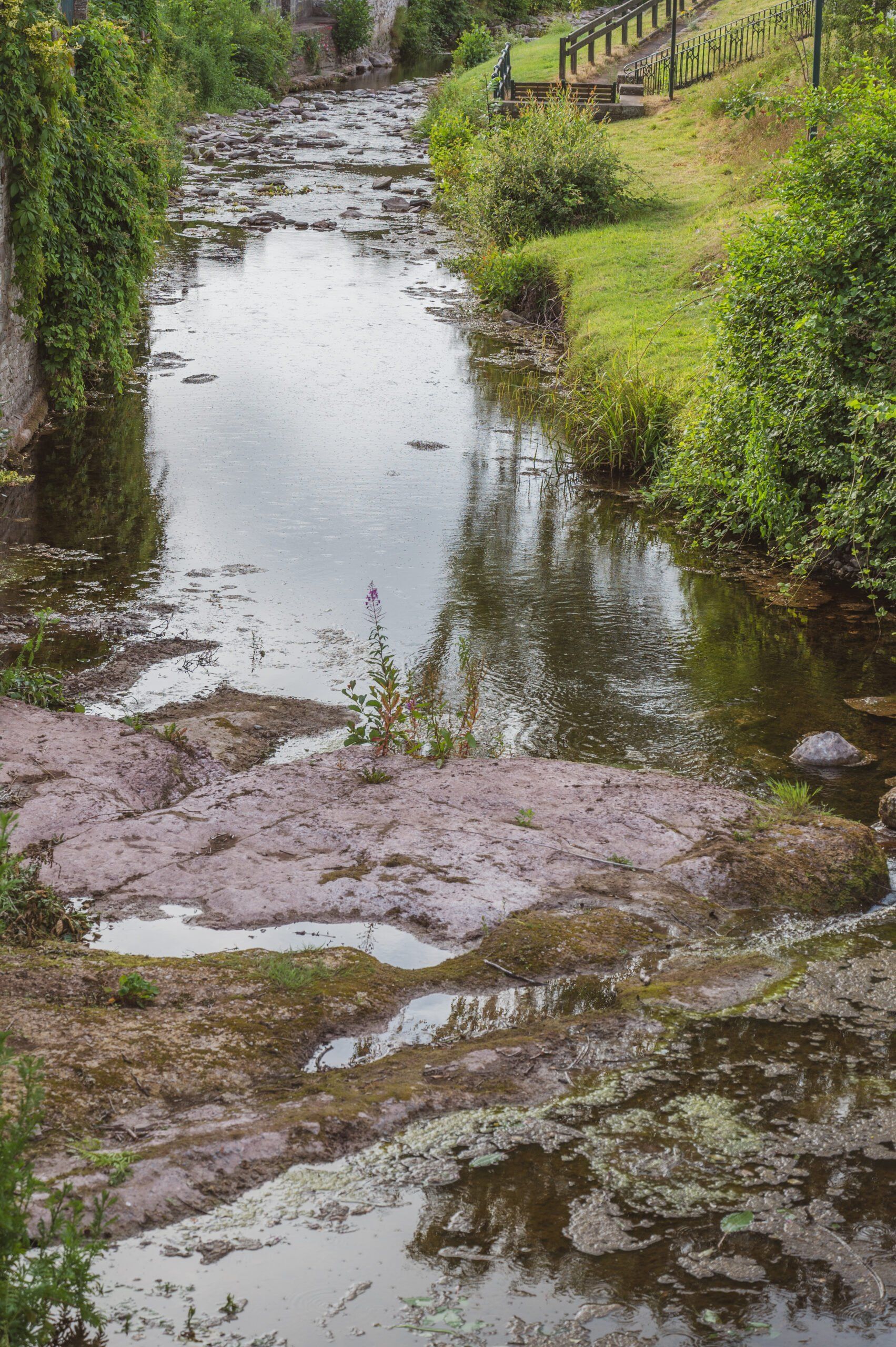 A BMC Pedagogy: The confluence of two rivers  
