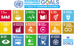 Black Mountains College and our Sustainable Development Goals