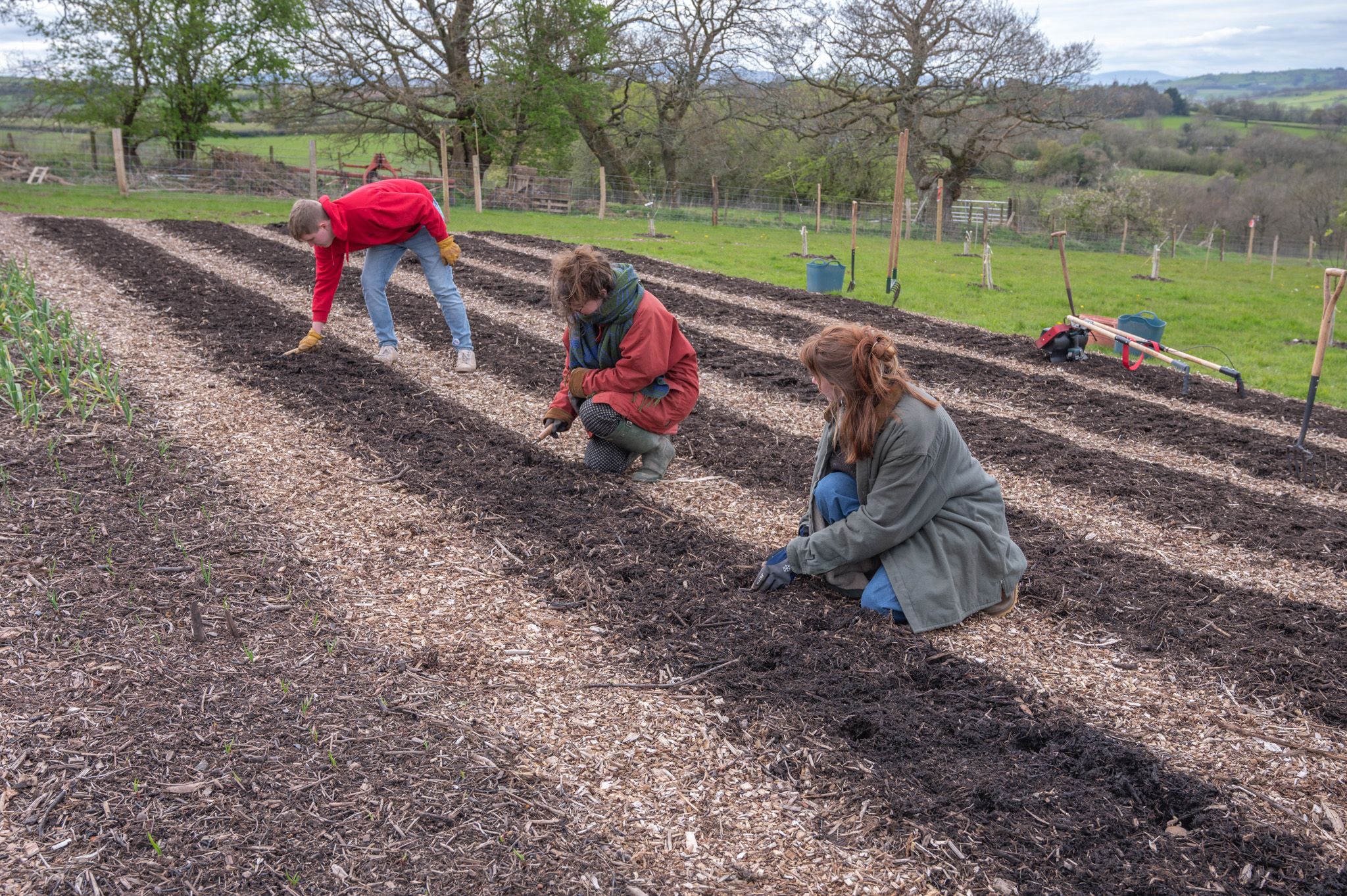 Regenerative Horticulture NVQ Level 2 Diploma